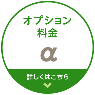 オプション料金